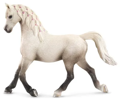 Арабская порода лошадей - 8 фактов, которые вы не знали. | Кони ПРО | Дзен