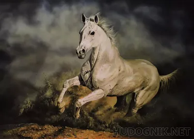 Арабская чистокровная лошадь 3D модель - Скачать Животные на 3DModels.org