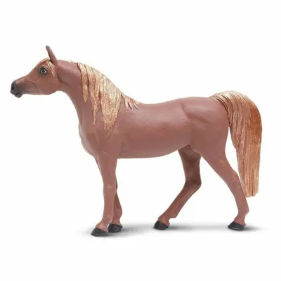 арабская лошадь стоковое изображение. изображение насчитывающей бело -  8899391