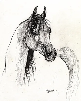 Шикарная арабская лошадь чёрно-…» — создано в Шедевруме