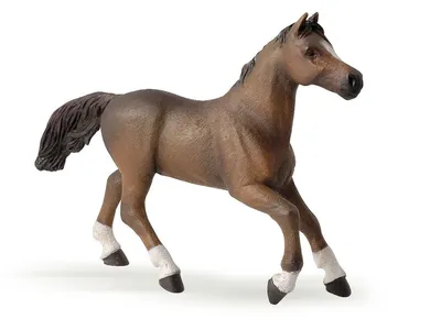 Фигурка Safari Ltd Арабская лошадь за 750 руб – купить в интернет-магазине  КуклаДом в Москве и России, отзывы