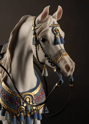 Лучшие идеи (900+) доски «Арабские лошади.» | арабские лошади, лошади,  красивые лошади