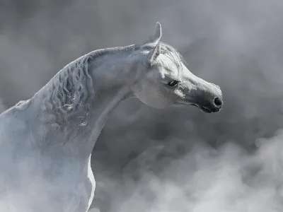 Вороной арабский конь с ЗОЛОТОЙ …» — создано в Шедевруме