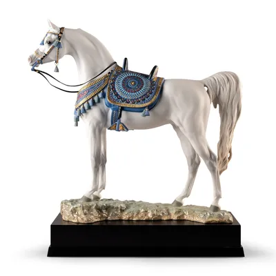 Белый арабский конь изолирован на черном фоне Стоковое Изображение -  изображение насчитывающей изолировано, низко: 158960743