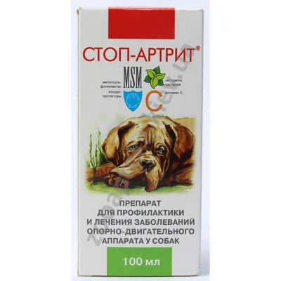 Лечение артроза у собак на дому в Ростове-на-Дону, клиника Энимал-Доктор