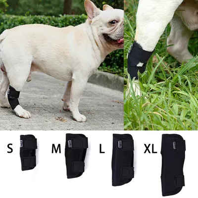 Регулируемый бандаж для спины собак для облегчения боли в спине IVDD,  артрит Dachshunds Corgies Dog Vest | AliExpress