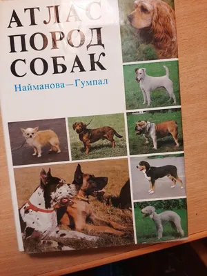 Атлас собак (61 фото) - картинки sobakovod.club