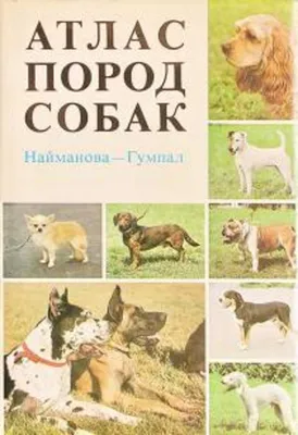 Книга: Атлас пород собак Купить за 500.00 руб.