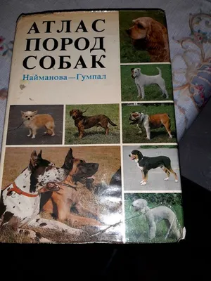 Классификация пород собак — Википедия