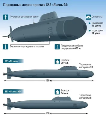 Владимир Солодов: «Благодаря решениям Президента удалось сохранить самый  сильный в России флот атомных подводных лодок»