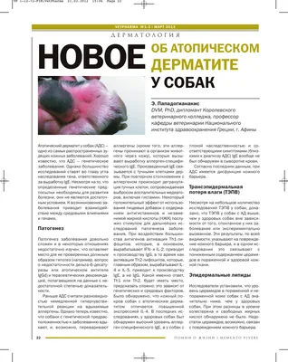 Атопический дерматит у собак: причины, лечение (ч.2) | Zoetis Россия | Дзен