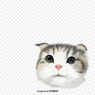 черный кот Аватар росписью PNG , животных, черный, кошка PNG картинки и пнг  PSD рисунок для бесплатной загрузки