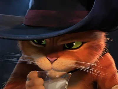 Аватарка Кот с Ножом - Скачать на Телефон Бесплатно