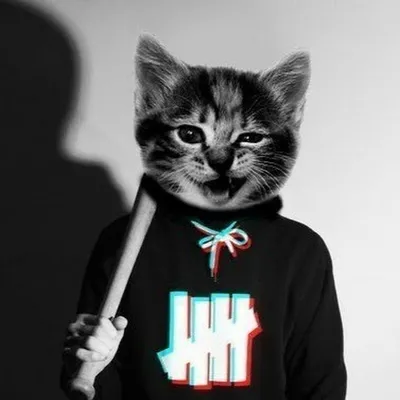 Аватарка кота геймера» — создано в Шедевруме