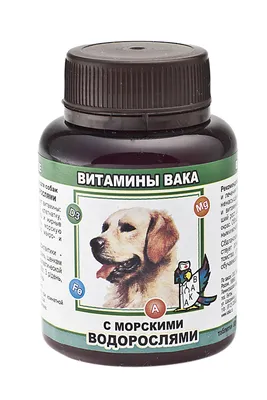 Авитаминоз у собак: симптомы, лечение, признаки - как выглядит и  проявляется, чем лечить авитаминоз у собак