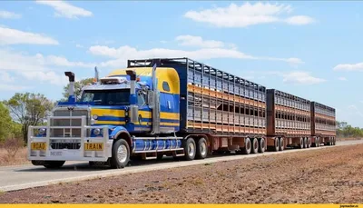 В этой стране разрешили перевозить контейнеры высотой 7 метров на грузовиках.  И это не конец эксперимента | trans.info