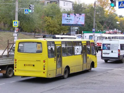 АTAMAN Богдану – родственник