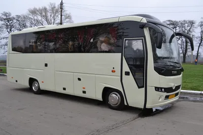 10 новых пассажирских автобусов марки АТАМАН А092Н6 прибыли в Херсон |  Типичный Херсон