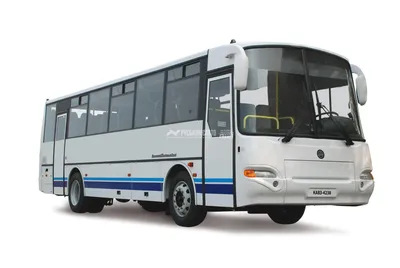 Автобус КАВЗ 4238-61 \"Аврора\" ЯМЗ EGR Евро-5, пригород; с кондиционером -  купить в Москве, цены в каталоге «Русбизнесавто»