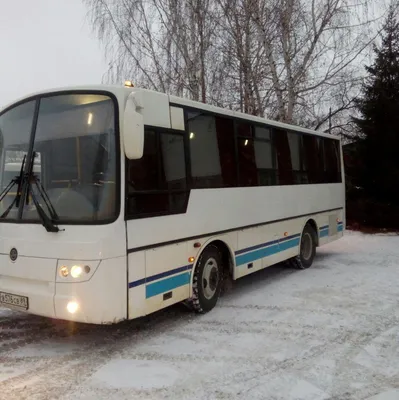Автобус Аврора 29 мест — Малые автобусы 20-40 мест — Наши услуги — ТЛК