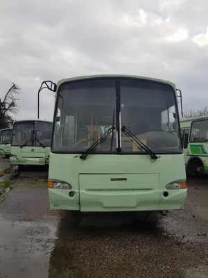 Купить новый автобус ПАЗ 4230-03, цена 150 000 руб., Сочи