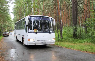 Автобус «Аврора» заказать в Челябинске | Компания «Регионтранс»