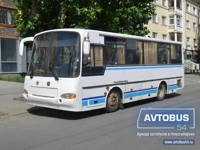 Заказать КАВЗ Аврора (белый) с водителем в Новосибирске ‐ Автобус54