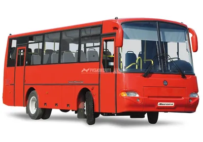 Автобус КАВЗ 4235-62 \"Аврора\" ЯМЗ EGR Евро-5, МКПП FastGear - купить в  Москве, цены в каталоге «Русбизнесавто»