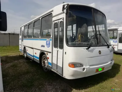 Автобус КАВЗ 4238-41 \"Аврора\" Евро-4 сидения с ремнями, кондиционер купить  в Казани, цена 4950000 руб. от РБА-Казань официальный дилер КАМАЗ —  Проминдекс — ID710549