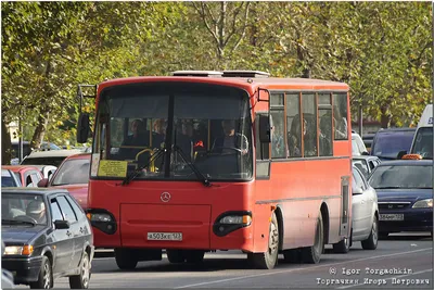 Купить б/у ПАЗ 4230 Аврора дизель механика в Брянске: белый 2005 года на  Авто.ру ID 10369654