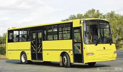 Автобусы КАвЗ-4238-05, -4238-02 «Аврора»