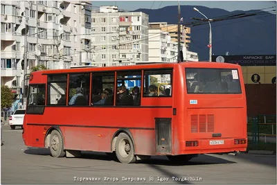 Автобус 4238-0000010, 4238-01-0000010 КАВЗ-4238 \"Аврора\" (Чертеж № 1:  список деталей, стоимость запчастей). Каталог 2008г.