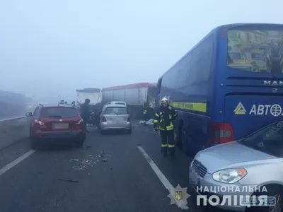 Билеты в Польшу от 475 грн: новая акция от Autolux - Покупки в Польше