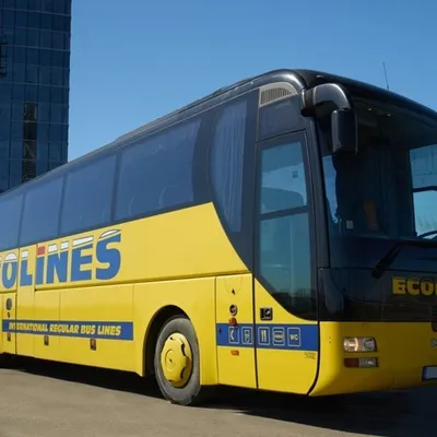 Из Харькова в Киев на автобусе VIP-класса: новое предложение AUTOLUX