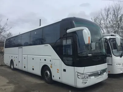 Автолюкс: знижка 50% на всі автобуси з України до Європи – БюджеТріп