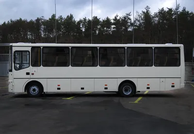 Продам Другое Другая Автобус БАЗ А079 Эталон в г. Комсомольск, Полтавская  область 2007 года выпуска за 13 200$
