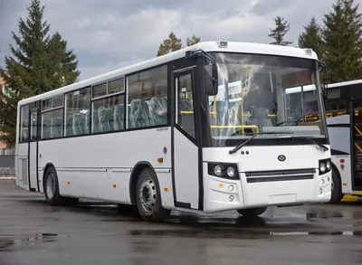 Переоборудование автобусов Богдан для перевозки людей с ограниченными  возможностями (ID#83306576), купить на Prom.ua