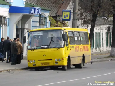 ISUZU Богдан 26-27 мест — Малые автобусы 20-40 мест — Наши услуги — ТЛК