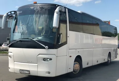 Аренда автобуса на 50 - 52 мест в Днепре | AlexBus