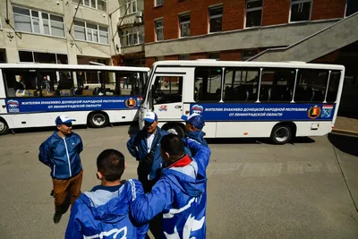 ДНР получит 451 единицу новых автобусов большой и малой вместимости до  конца 2025 года