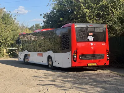 Автобус под Волновахой подорвали миной и расстреляли - KP.RU