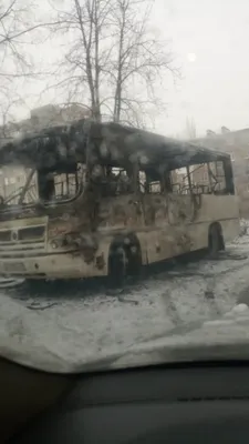 Автобусы «Донбасс» вышли на маршруты — Горловка
