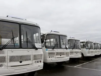 В Петербурге художник запустил автобус по маршруту «Донбасс — Парнас»