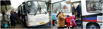 Петербургский уличный художник запустил автобус по маршруту «Донбасс —  Парнас» - 23 февраля 2022 - Фонтанка.Ру