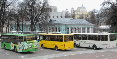Фото Автобусы \"Эталон\" - УНИАН