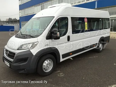 Микроавтобус (автобус категории М2 класс В) FIAT DUCATO, гос.знак – В 843  ХС98, 2009 года выпуска