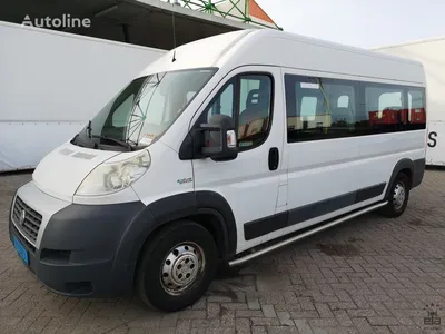 Москва, FIAT Ducato 244 CSMMC-RLL, -RTL № 01537 — Фото — Автобусный  транспорт