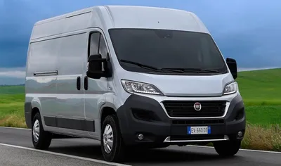 Микроавтобус Fiat Ducato для перевозки детей (Школьный)