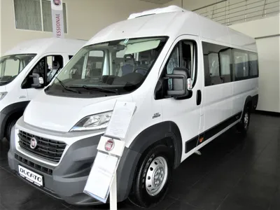 fiat ducato panorama 2015 3D Модель in Автобус 3DExport