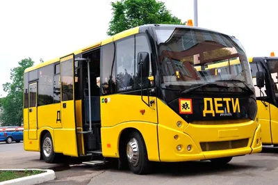 На школьные автобусы установят мигалки :: Autonews